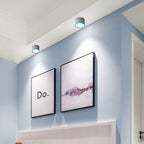 Morandi Style Modern LED Ceiling Light - LumiModo