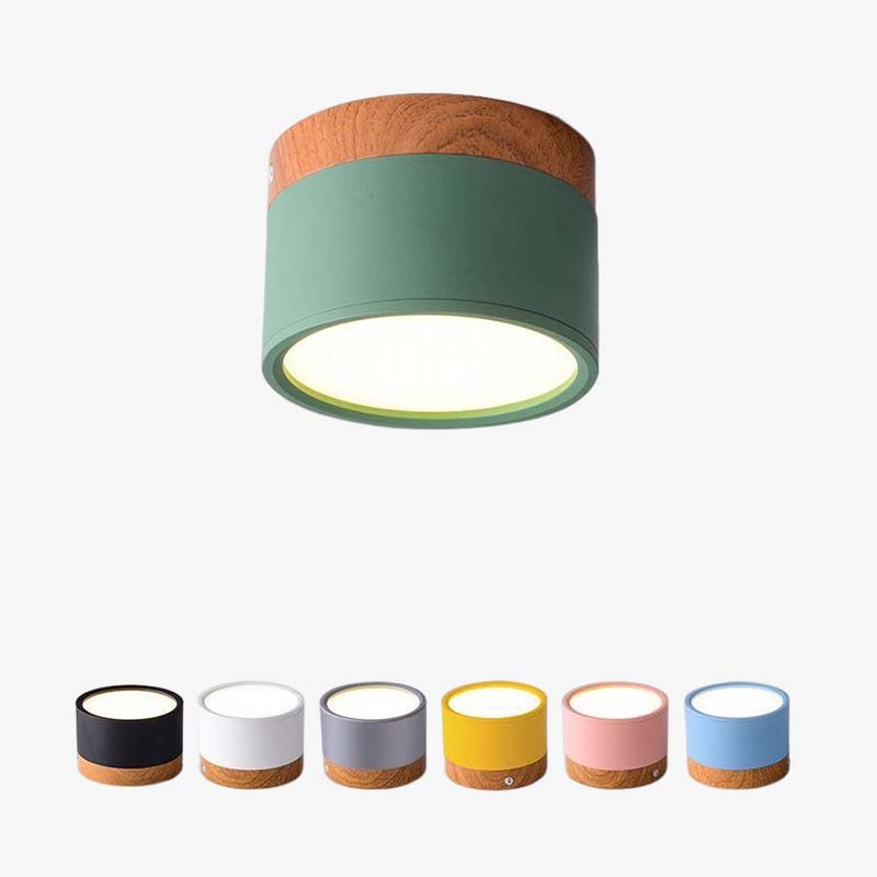 Morandi Style Modern LED Ceiling Light - LumiModo