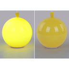 Compact Modern LED Balloon Ceiling Lamp - AuraLite