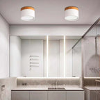 Morandi Style Modern LED Ceiling Light - LumiModo
