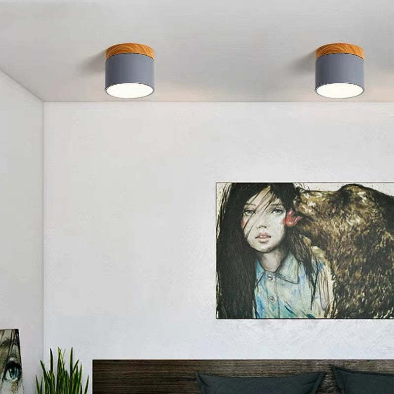 Morandi Style Modern LED Ceiling Light - LumiModo